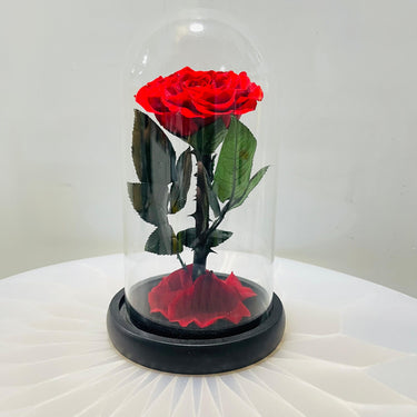 Eternal Rose Valentine’s Gift